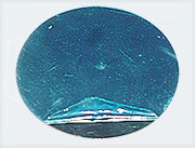 ������Ĥ